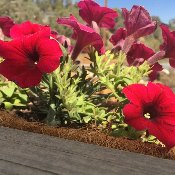 Meet your Posher, Paul - Picture 12 of 14